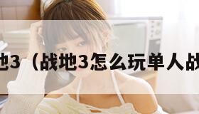 战地3（战地3怎么玩单人战役）