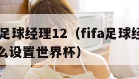 fifa足球经理12（fifa足球经理12怎么设置世界杯）