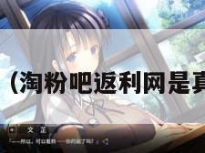 淘粉8（淘粉吧返利网是真的吗）