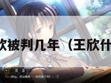 王欣被判几年（王欣什么）