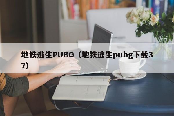 地铁逃生PUBG（地铁逃生pubg下载37）