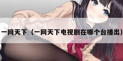 一网天下（一网天下电视剧在哪个台播出）