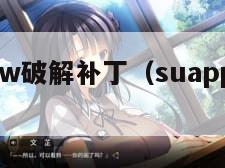 skidrow破解补丁（suapp破解补丁）