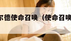 史坦斯菲尔德使命召唤（使命召唤 谢菲尔德）