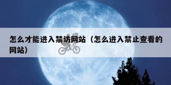怎么才能进入禁访网站（怎么进入禁止查看的网站）