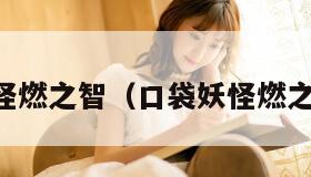 口袋妖怪燃之智（口袋妖怪燃之智下载）