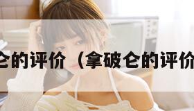 拿破仑的评价（拿破仑的评价论文）