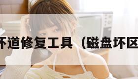 磁盘坏道修复工具（磁盘坏区修复）