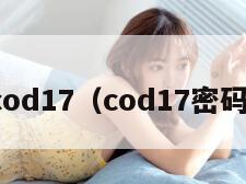 cod17（cod17密码）