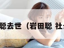 岩田聪去世（岩田聪 社长问）