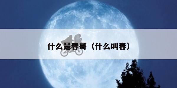 什么是春哥（什么叫春）