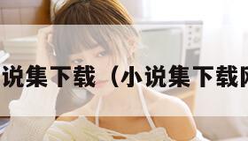 小说集下载（小说集下载网）