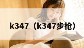k347（k347步枪）