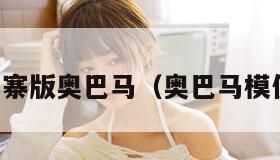 山寨版奥巴马（奥巴马模仿）