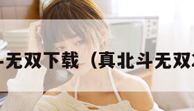 真北斗无双下载（真北斗无双2下载）