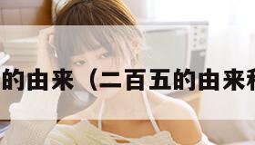 二百五的由来（二百五的由来和故事）