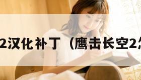 鹰击长空2汉化补丁（鹰击长空2怎么下载）