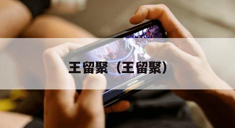 王留聚（王留聚）