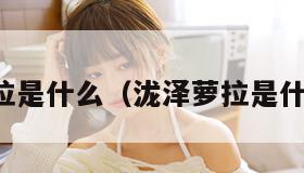 泷泽萝拉是什么（泷泽萝拉是什么档次）