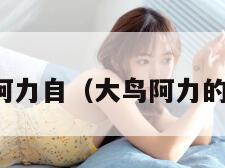 大鸟阿力自(大鸟阿力的微博) 大鸟阿力自(大鸟阿力的微博)