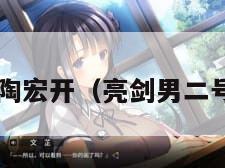 亮剑2陶宏开（亮剑男二号是谁）