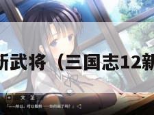 三国志12新武将（三国志12新武将解锁）