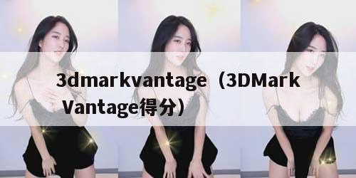 3dmarkvantage（3DMark Vantage得分）