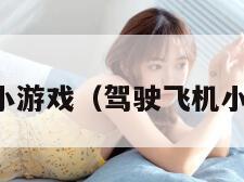 飞机小游戏（驾驶飞机小游戏）