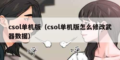 csol单机版（csol单机版怎么修改武器数据）
