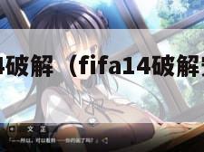 fifa14破解(fifa14破解安装不了) fifa14破解(fifa14破解安装不了)