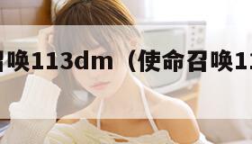 使命召唤113dm（使命召唤113060卡顿）