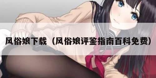 风俗娘下载（风俗娘评鉴指南百科免费）