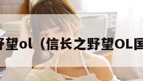 信长之野望ol（信长之野望OL国服消息）