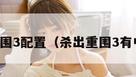 杀出重围3配置（杀出重围3有中文吗）