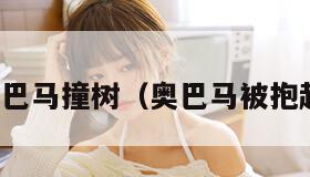 奥巴马撞树（奥巴马被抱起）