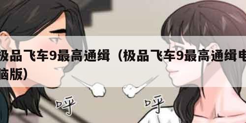 极品飞车9最高通缉（极品飞车9最高通缉电脑版）