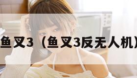鱼叉3（鱼叉3反无人机）