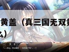 真三国无双6黄盖（真三国无双黄盖情谊的背景故事是什么）