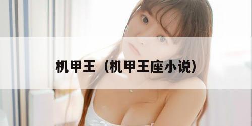 机甲王（机甲王座小说）
