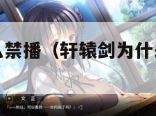 轩辕剑为什么禁播（轩辕剑为什么禁播电视剧）