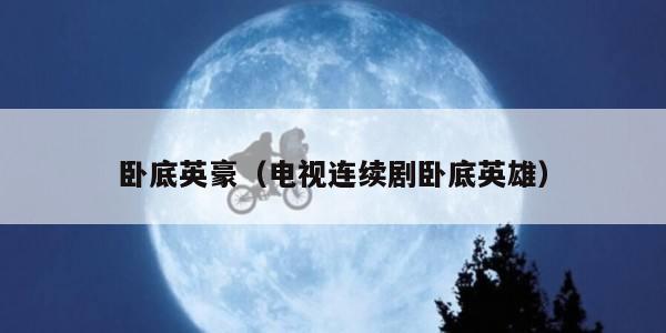 卧底英豪(电视连续剧卧底英雄) 卧底英豪(电视连续剧卧底英雄)