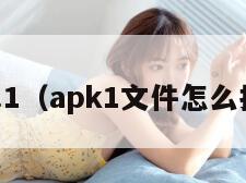 apk.1(apk1文件怎么打开) apk.1(apk1文件怎么打开)