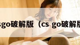 csgo破解版(cs go破解版) csgo破解版(cs go破解版)