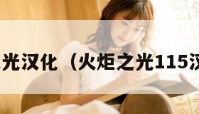 火炬之光汉化（火炬之光115汉化22）