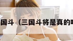 三国斗（三国斗将是真的吗）