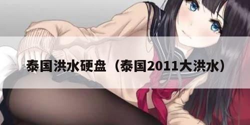 泰国洪水硬盘（泰国2011大洪水）