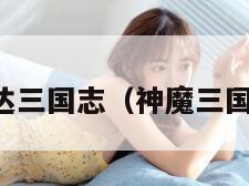 阿达三国志（神魔三国志）