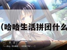 哈哈团购(哈哈生活拼团什么时候上线) 哈哈团购(哈哈生活拼团什么时候上线)