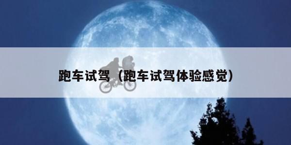 跑车试驾（跑车试驾体验感觉）