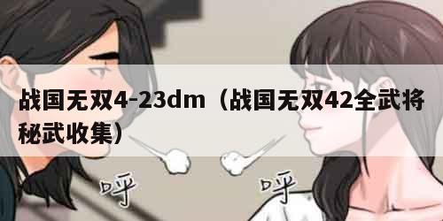战国无双4-23dm（战国无双42全武将秘武收集）